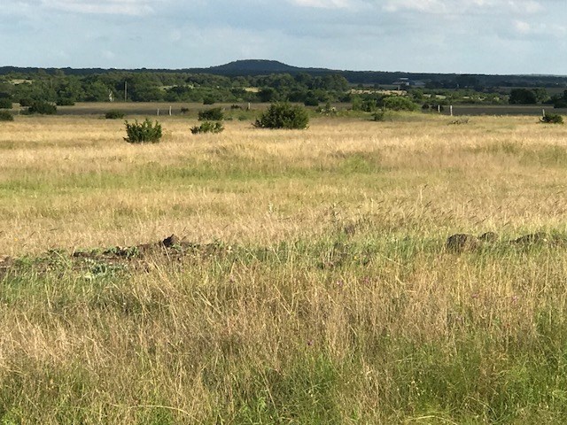 Lot 3 CR 212, Briggs, TX 78608