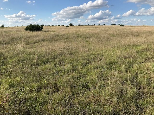 Lot 3 CR 212, Briggs, TX 78608