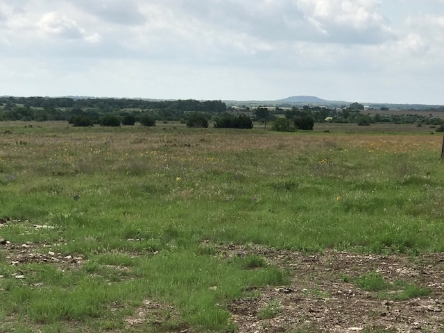 Lot 3 CR 212, Briggs, TX 78608