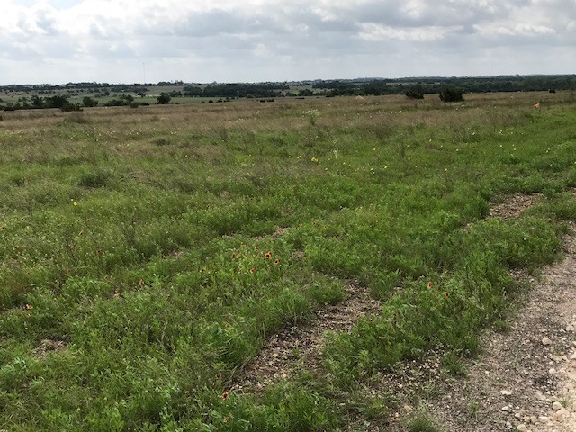 3 County Rd 212, Briggs, TX 78608