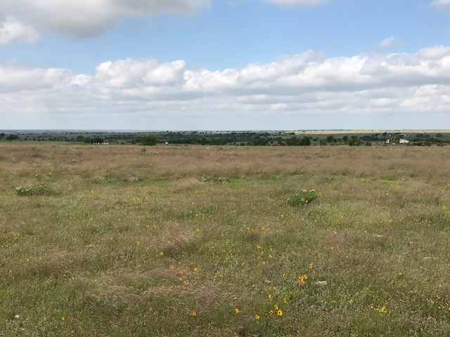 3 County Rd 212, Briggs, TX 78608