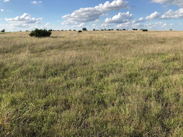 3 County Rd 212, Briggs, TX 78608