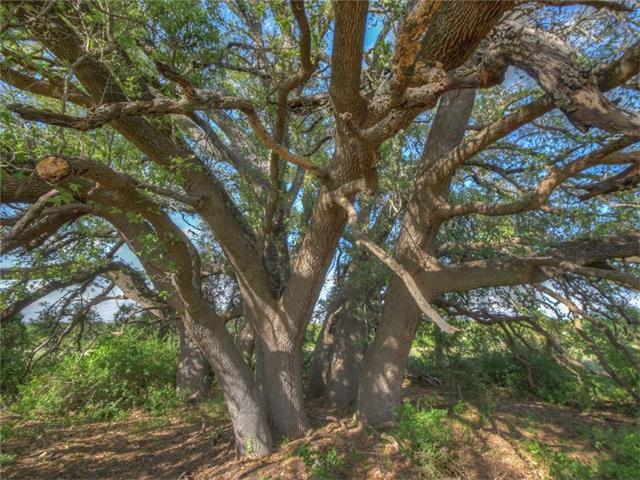 Tract 3 CR 200 A, Burnet, TX 78611