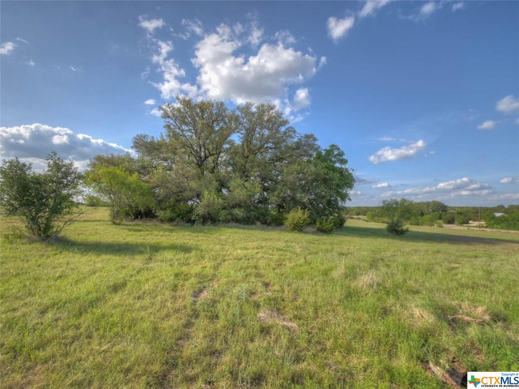 Tract 3 CR 200 A, Burnet, TX 78611