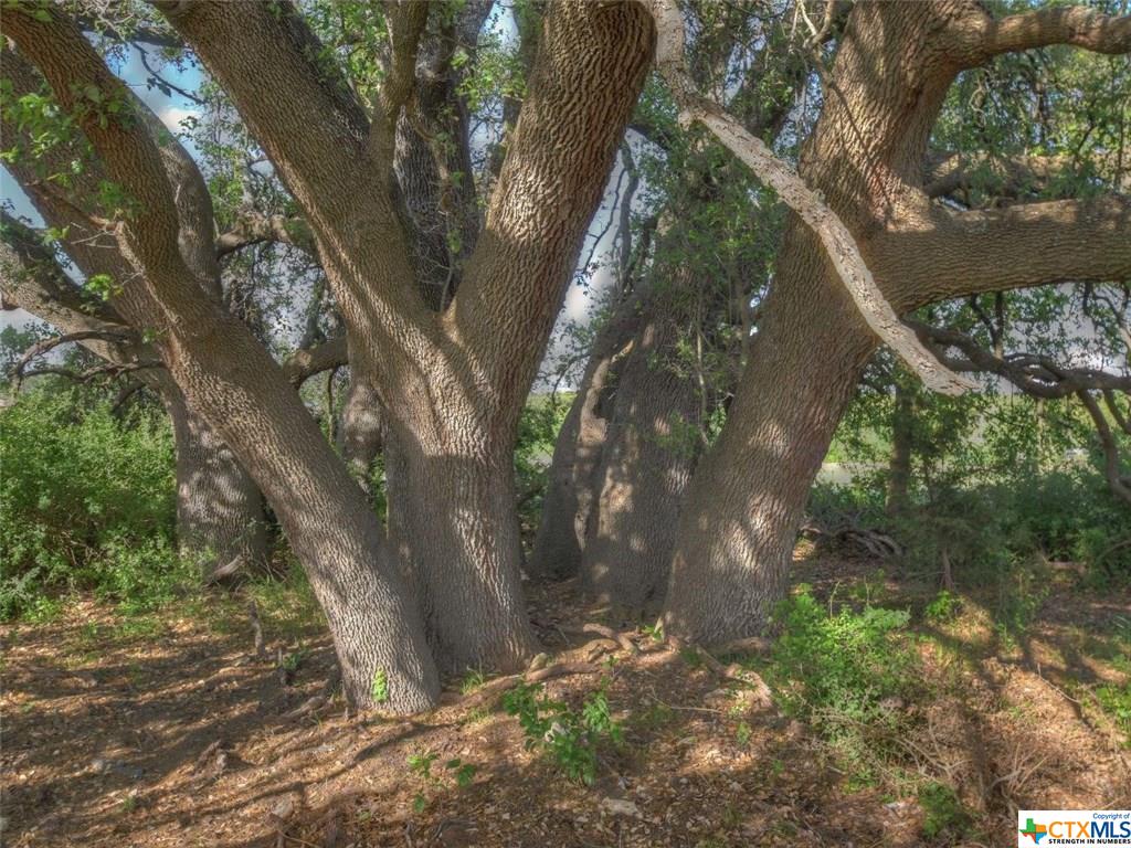 Tract 3 CR 200 A, Burnet, TX 78611