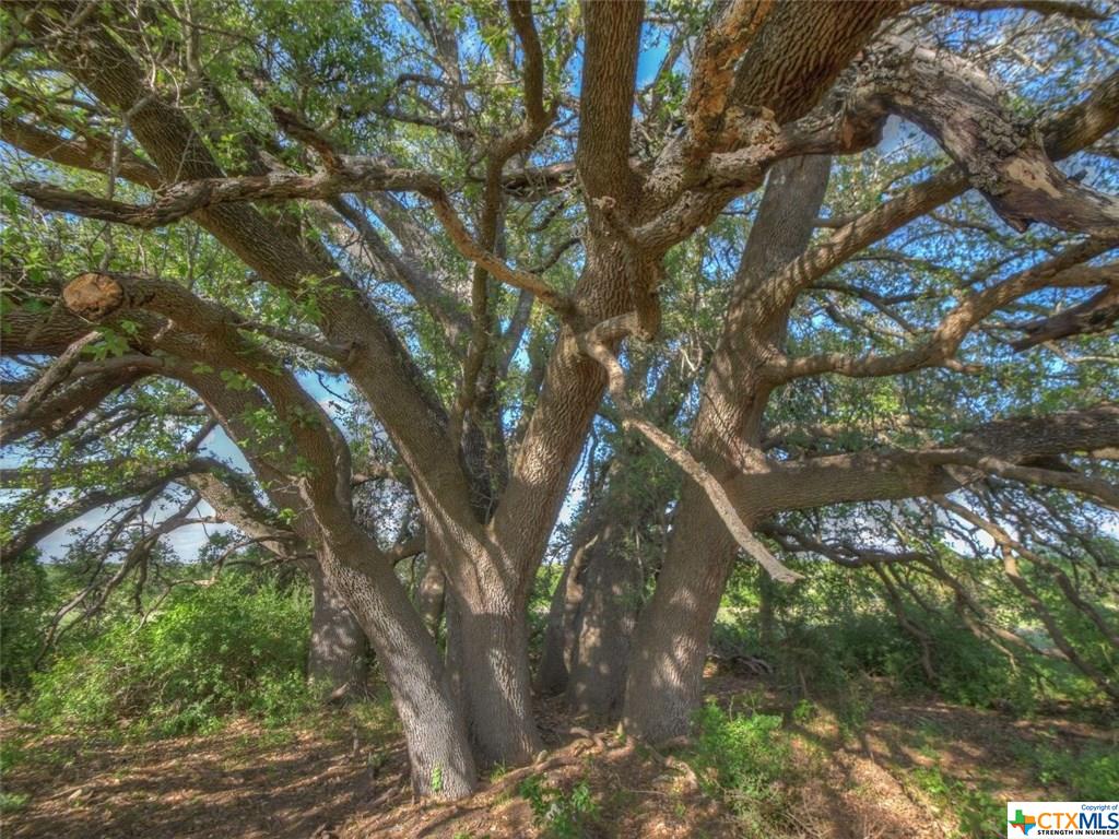 Tract 3 CR 200 A, Burnet, TX 78611
