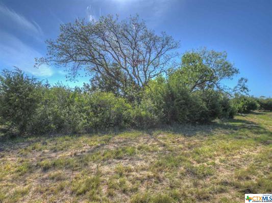 Tract 4 CR 200 A, Burnet, TX 78611