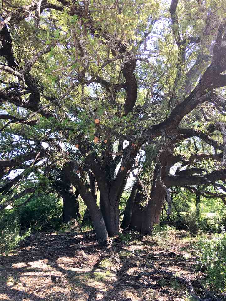 0 CR 200A, Burnet, TX 78611