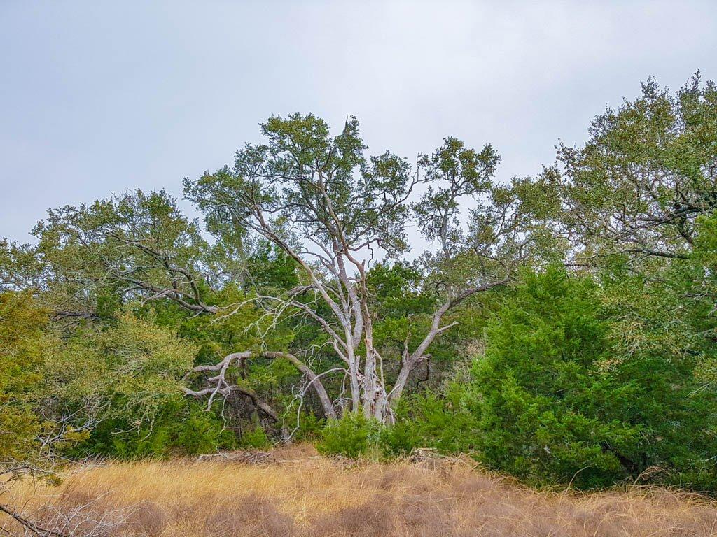 857 Rutherford, Fischer, TX 78623