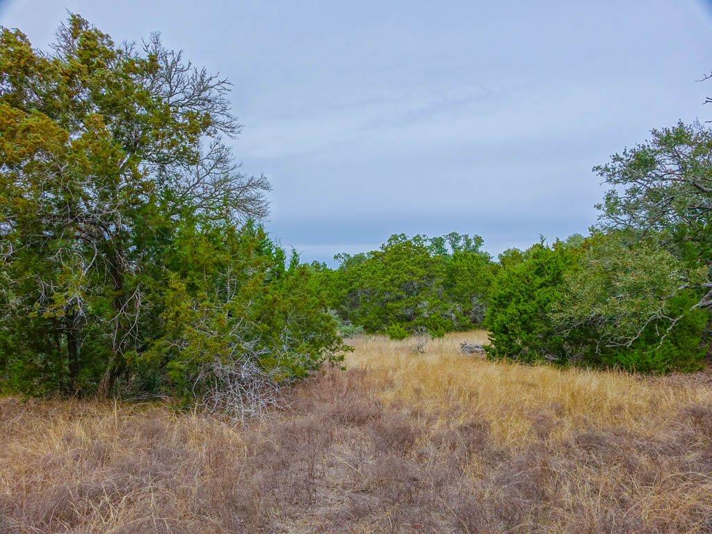 857 Rutherford, Fischer, TX 78623