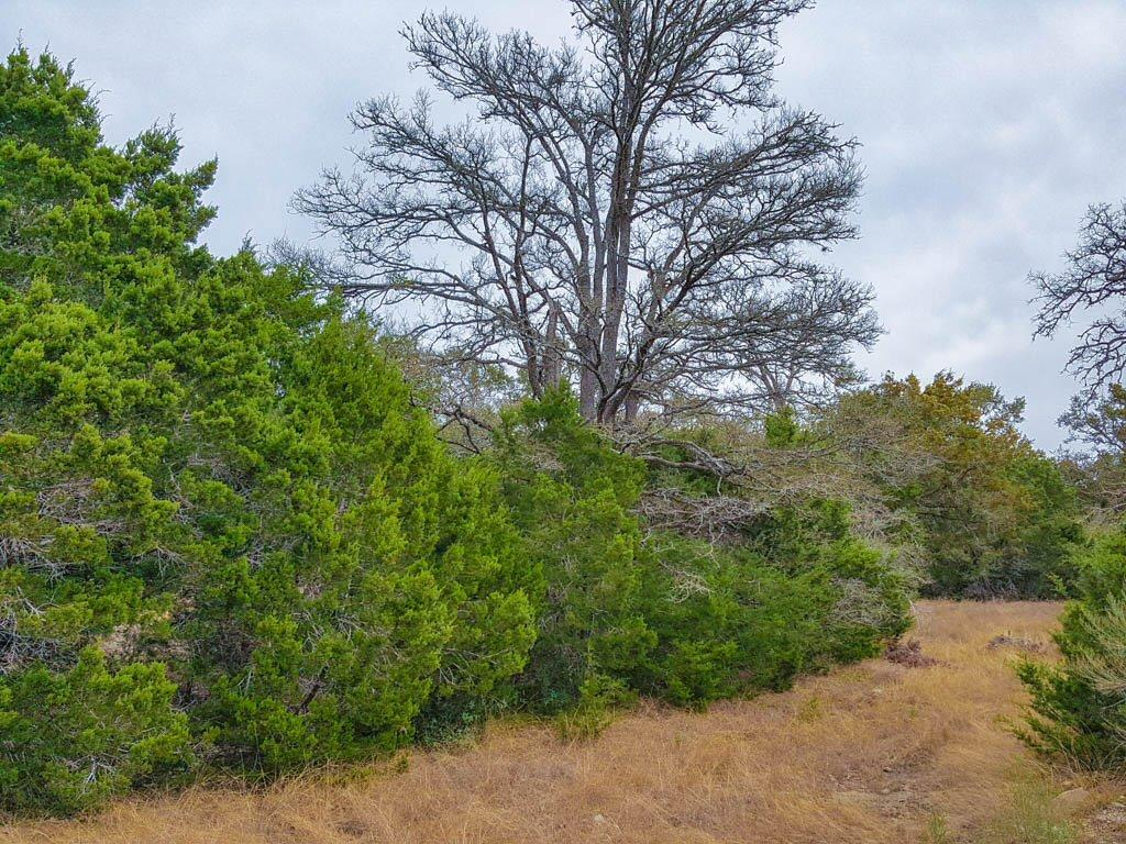 857 Rutherford, Fischer, TX 78623
