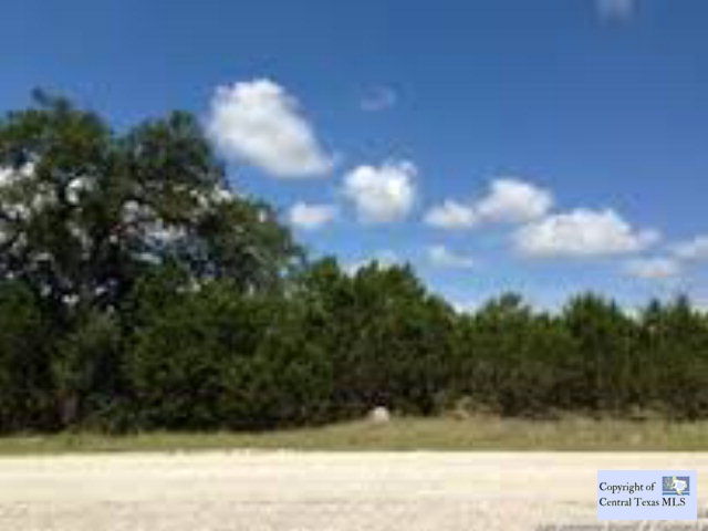 406 Freedom Street, Fischer, TX 78623
