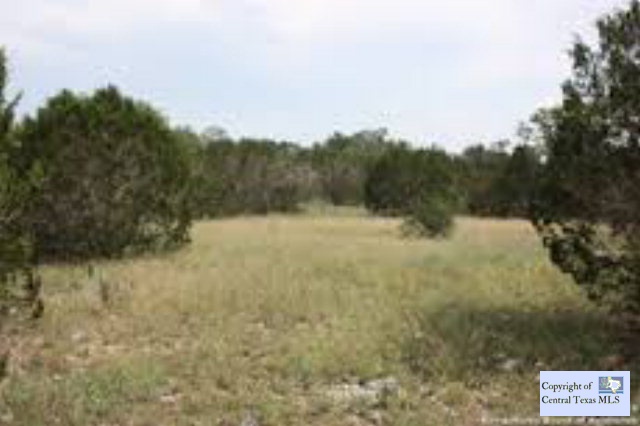 406 Freedom Street, Fischer, TX 78623