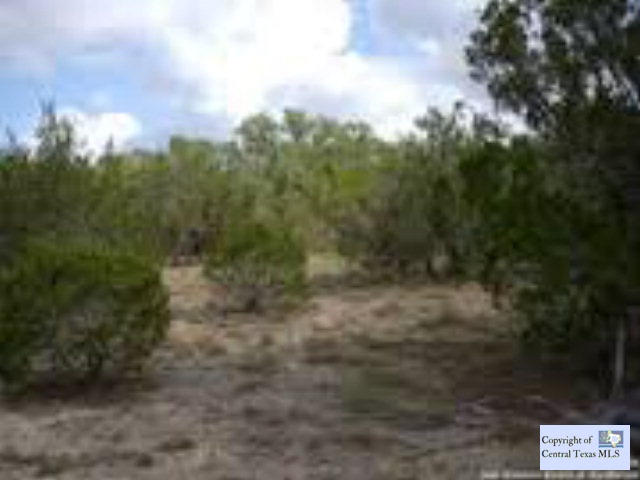 406 Freedom Street, Fischer, TX 78623