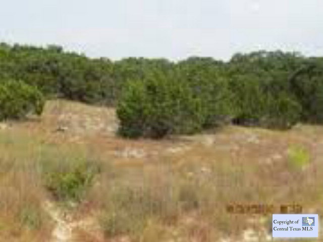 406 Freedom Street, Fischer, TX 78623