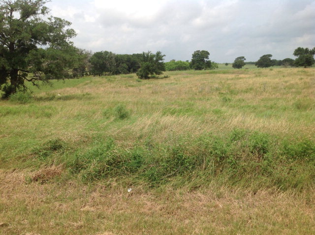 TBD W Creekwood Drive, Gonzales, TX 78629