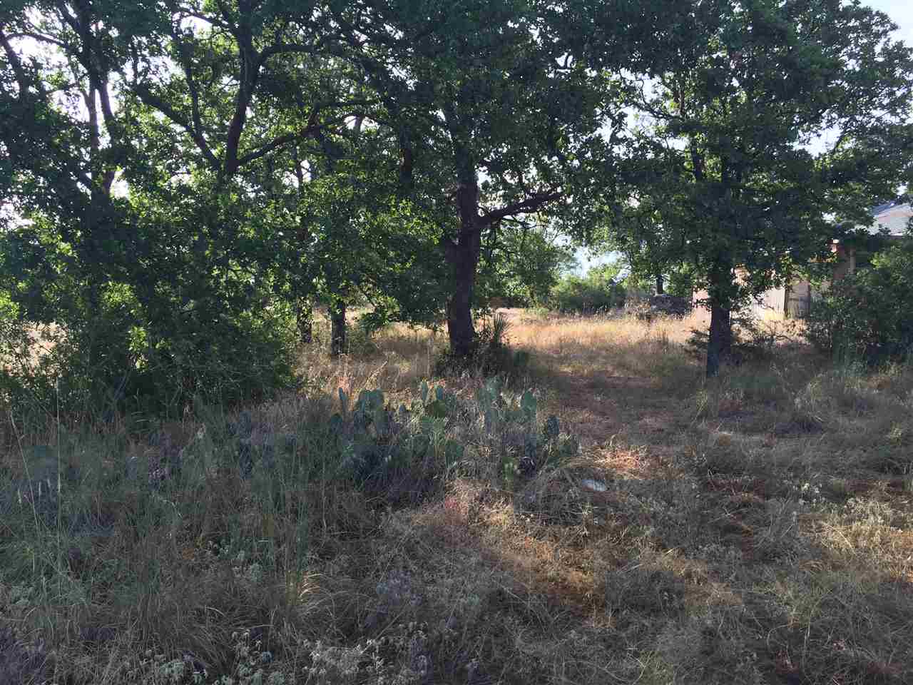 Lot 18 Eagle Point, Kingsland, TX 78639