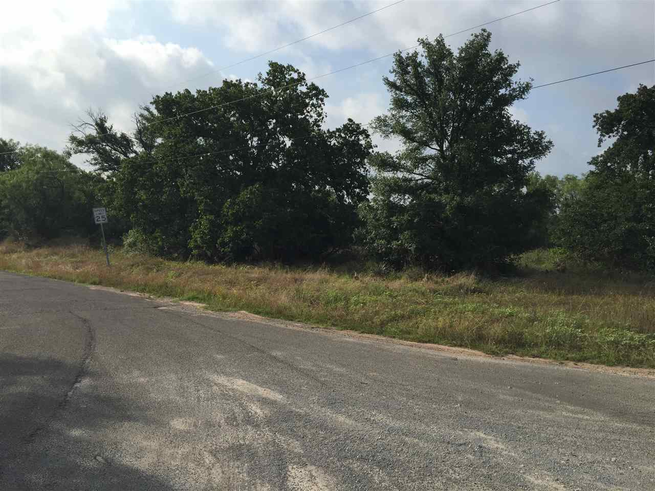 Lot 110 Skyline Dr, Kingsland, TX 78639