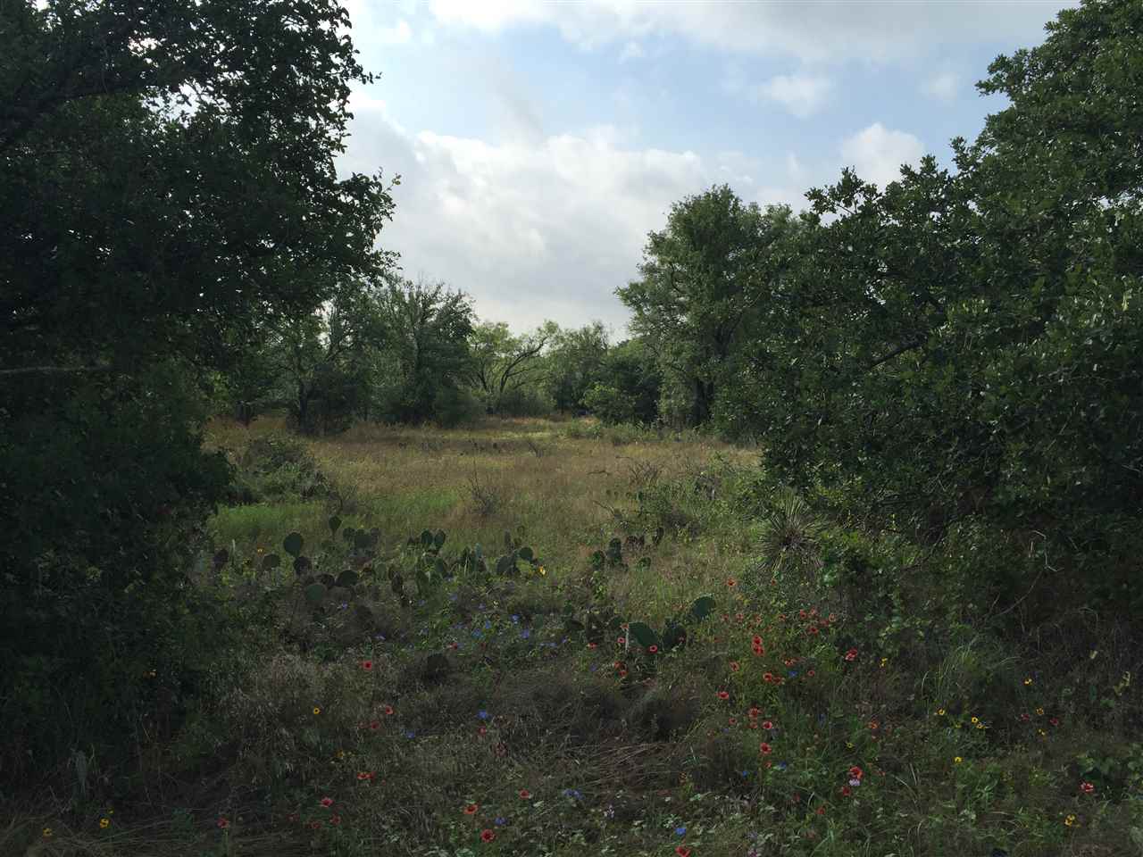 Lot 110 Skyline Dr, Kingsland, TX 78639