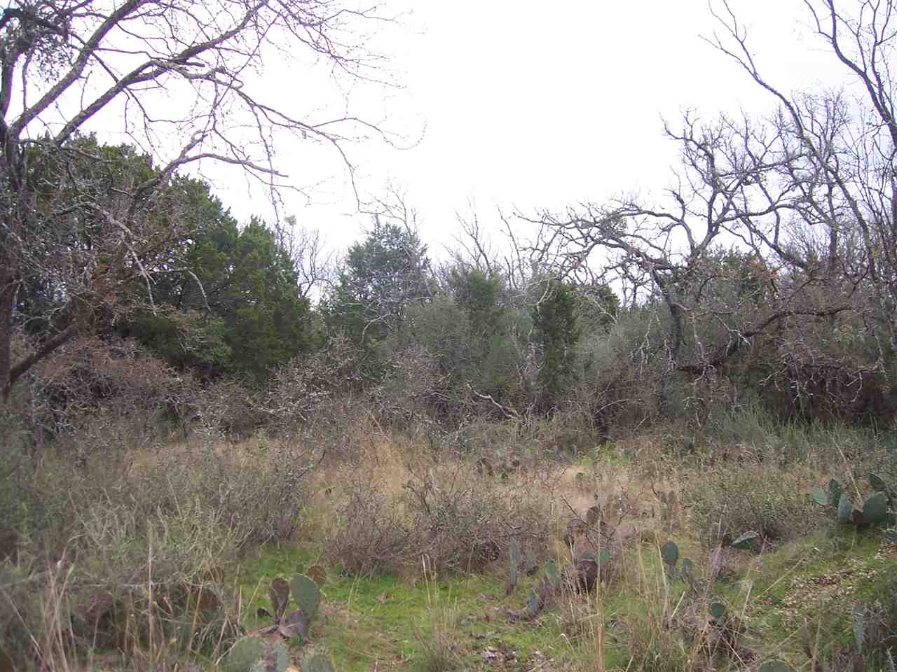 Lot 220 Western Dr, Kingsland, TX 78639