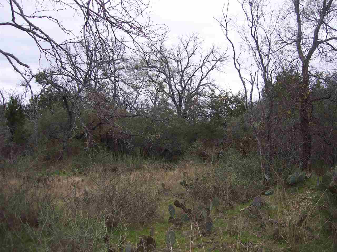 Lot 220 Western Dr, Kingsland, TX 78639