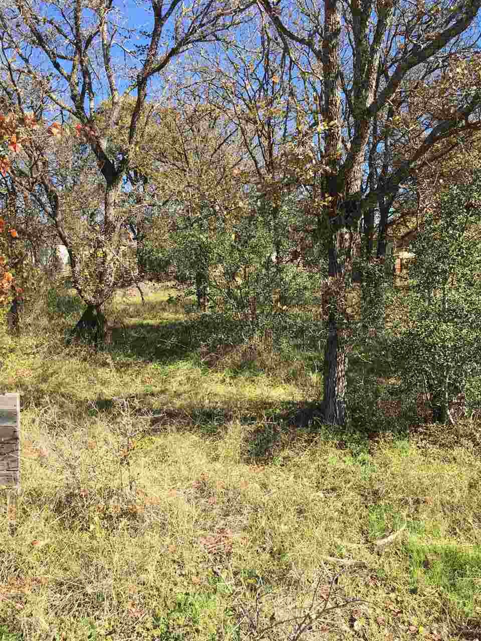 00 Eagle Point Dr, Kingsland, TX 78639