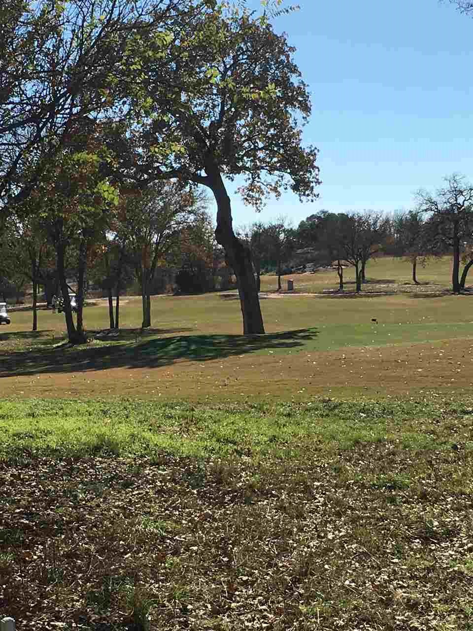 00 Eagle Point Dr, Kingsland, TX 78639