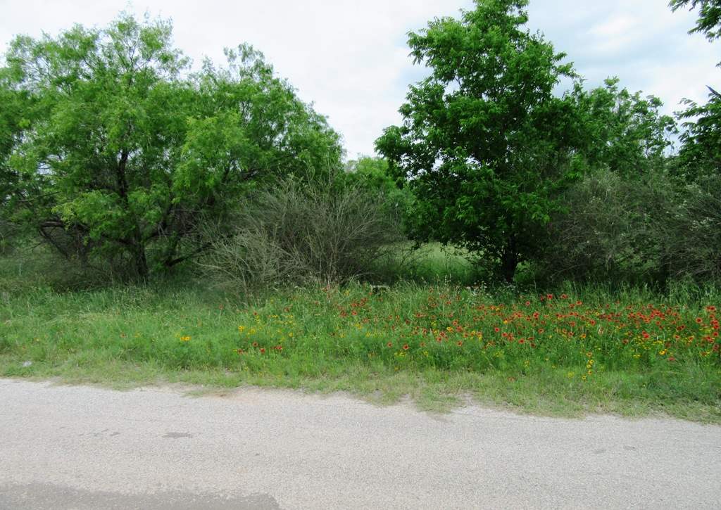lts 7-10 FLAG CREEK, Llano, TX 78643