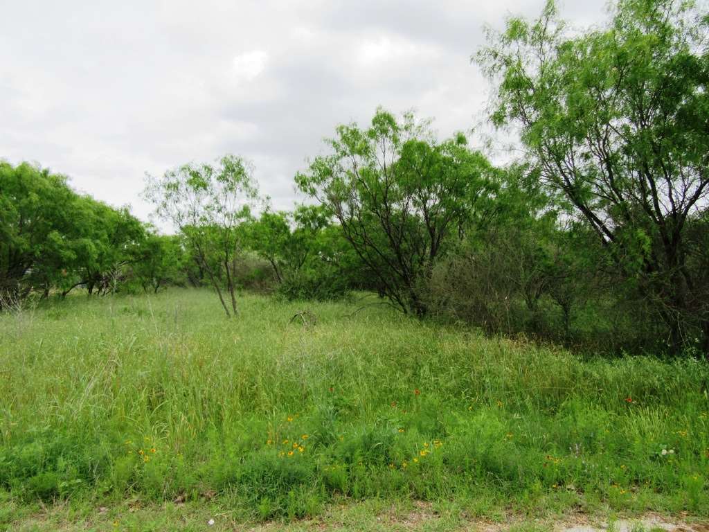 lts 7-10 FLAG CREEK, Llano, TX 78643