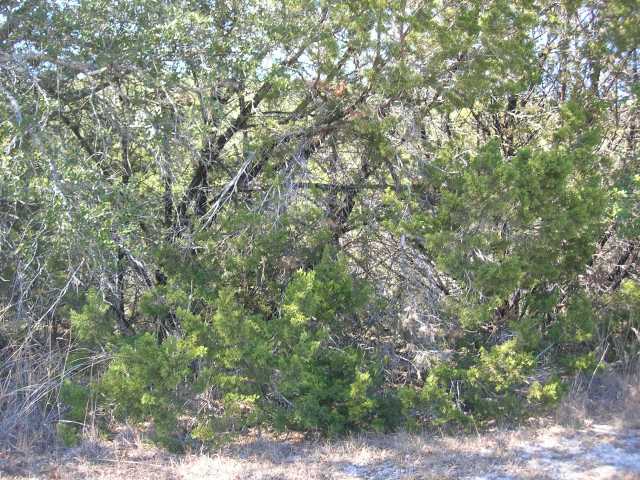 2909 Davis CV, Lago Vista, TX 78645