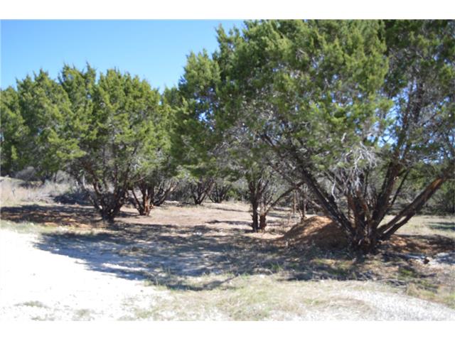 2909 Davis CV, Lago Vista, TX 78645