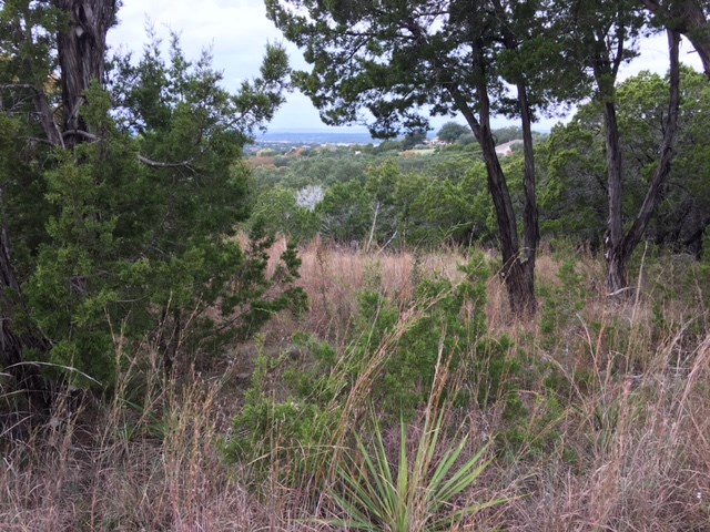 5608 Canyon DR, Lago Vista, TX 78645