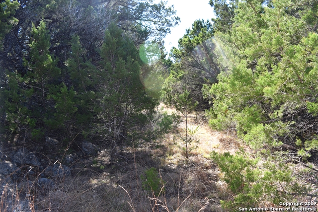 6800 Paseo de Vaca St, Lago Vista, TX 78645