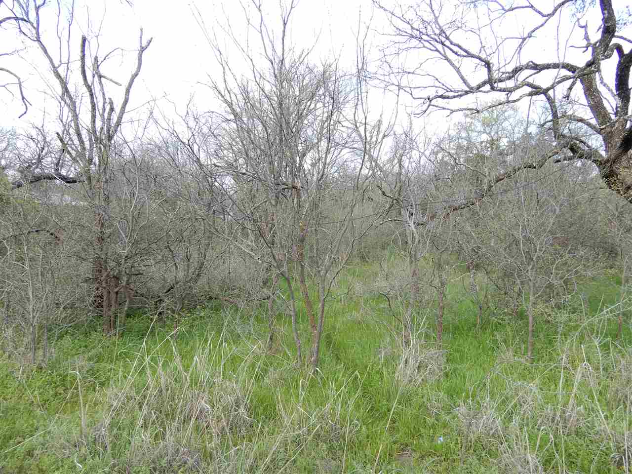 Lot 1144 Kingdom, Granite Shoals, TX 78654