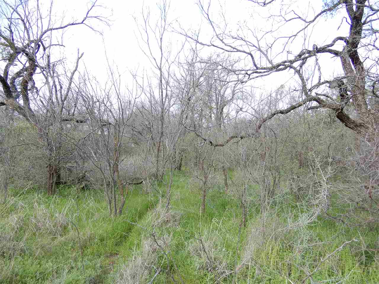 Lot 1144 Kingdom, Granite Shoals, TX 78654