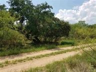Persimmon, Granite Shoals, TX 78654