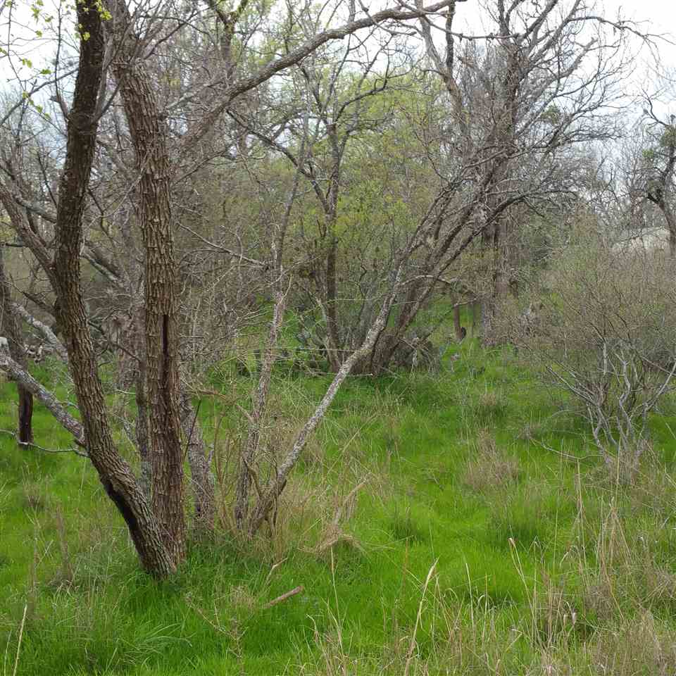 Persimmon, Granite Shoals, TX 78654