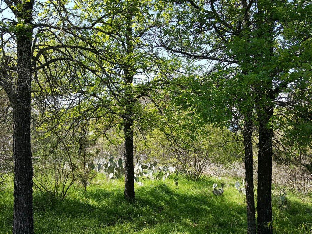 Lot 25 Kings Way, Horseshoe Bay, TX 78654