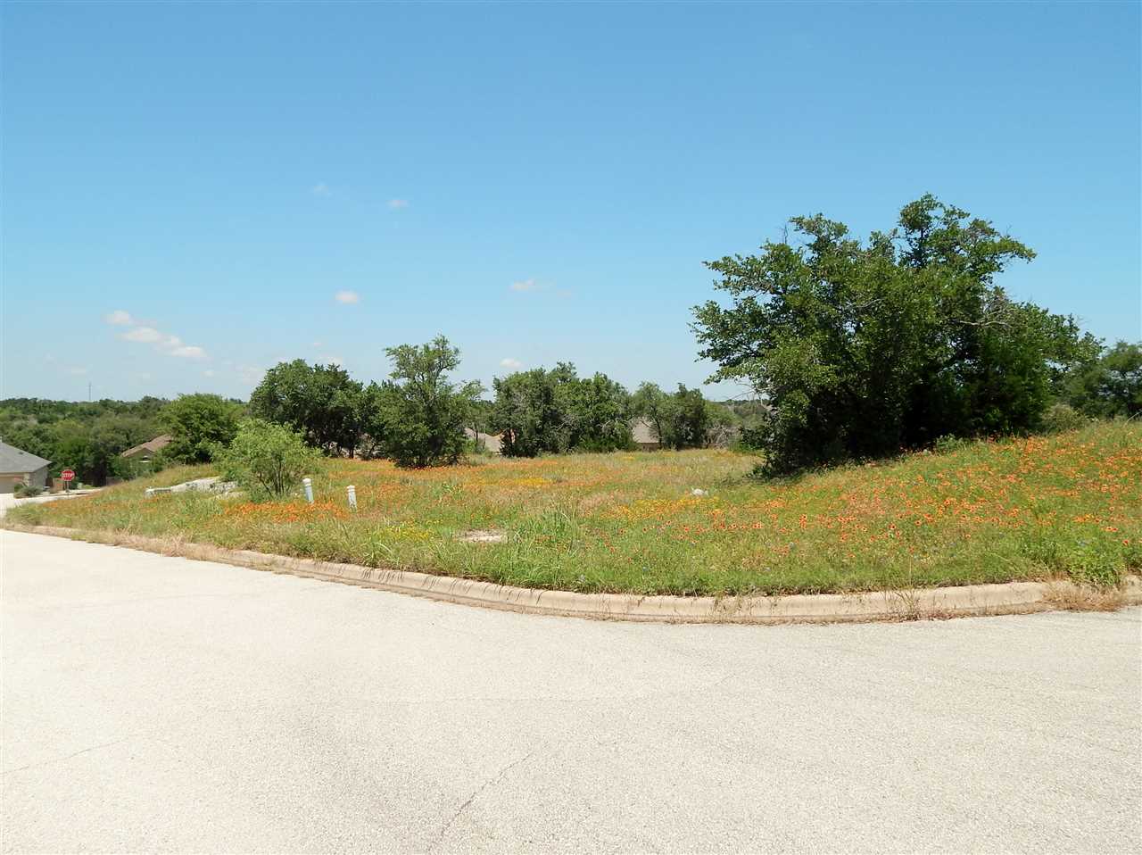 64 Primrose Lane, Marble Falls, TX 78654