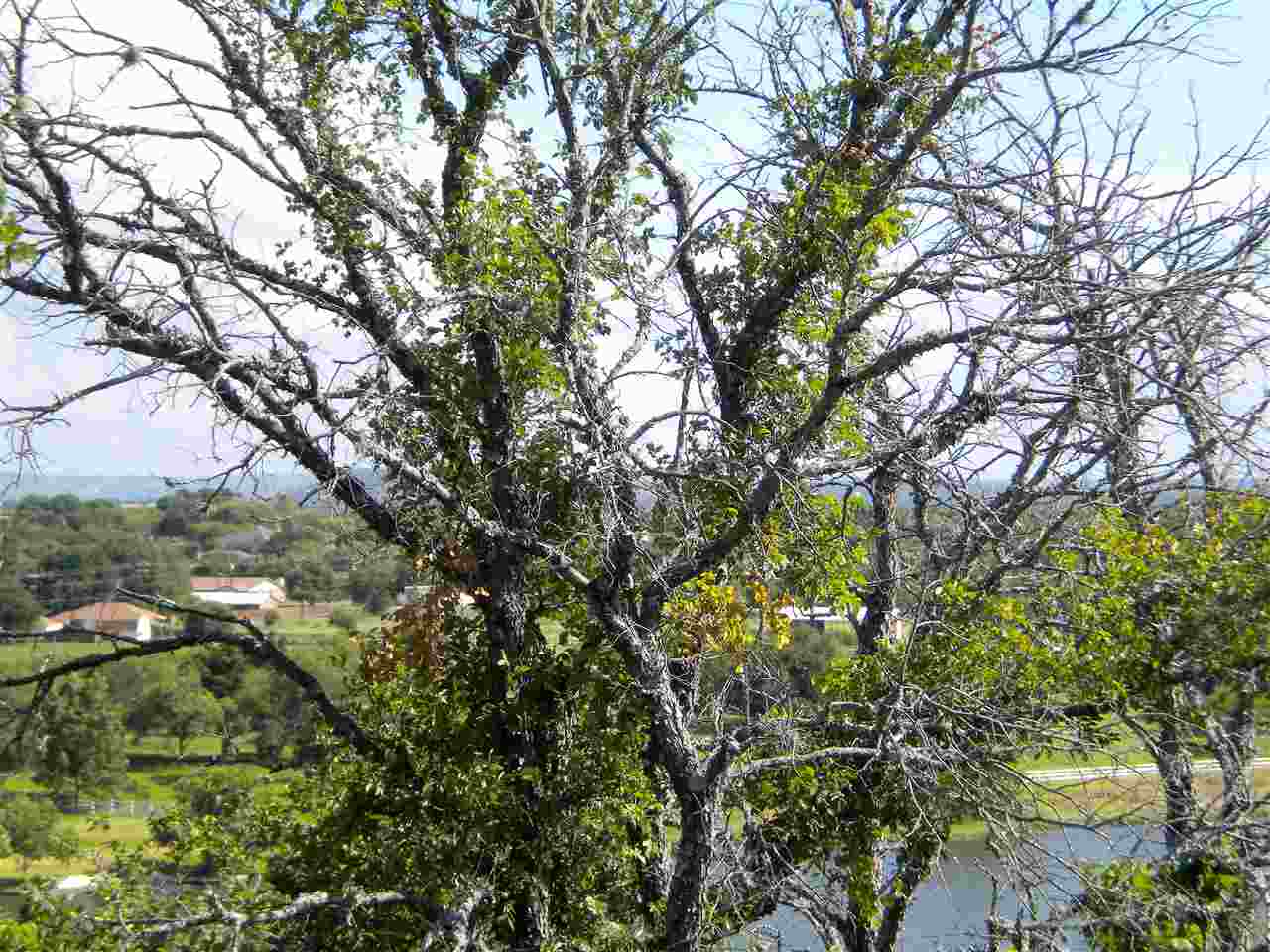 1505 W FM 2147, Marble Falls, TX 78654