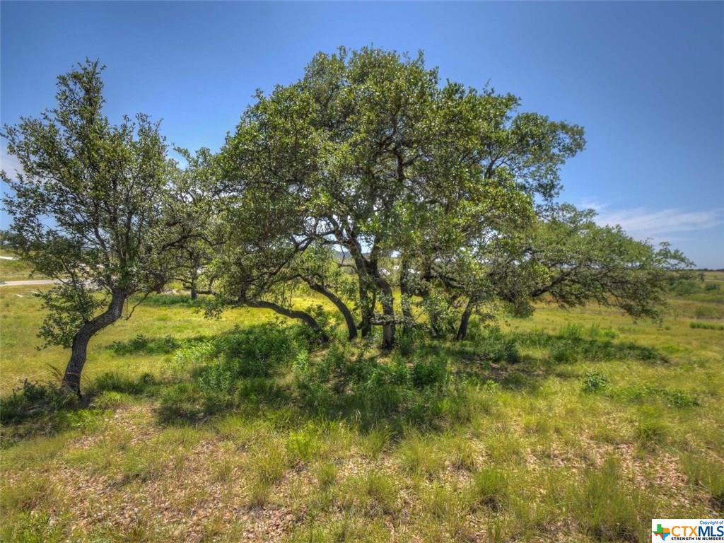 0 Rolling Waters Court, Marble Falls, TX 78654