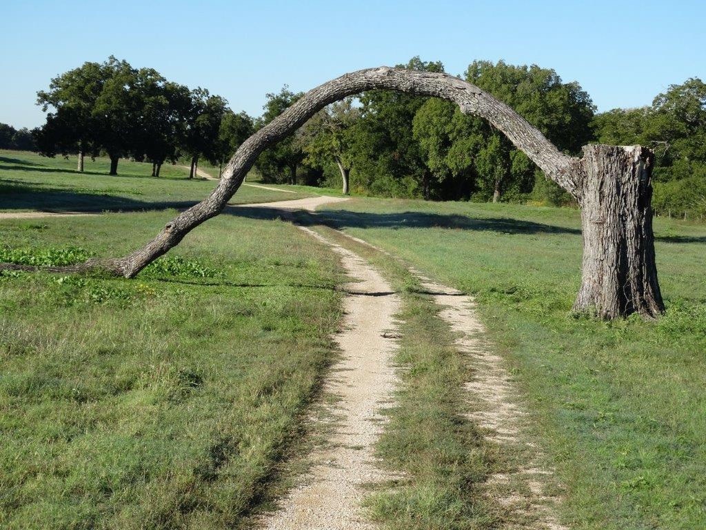 4194 SE River Rd, Martindale, TX 78655