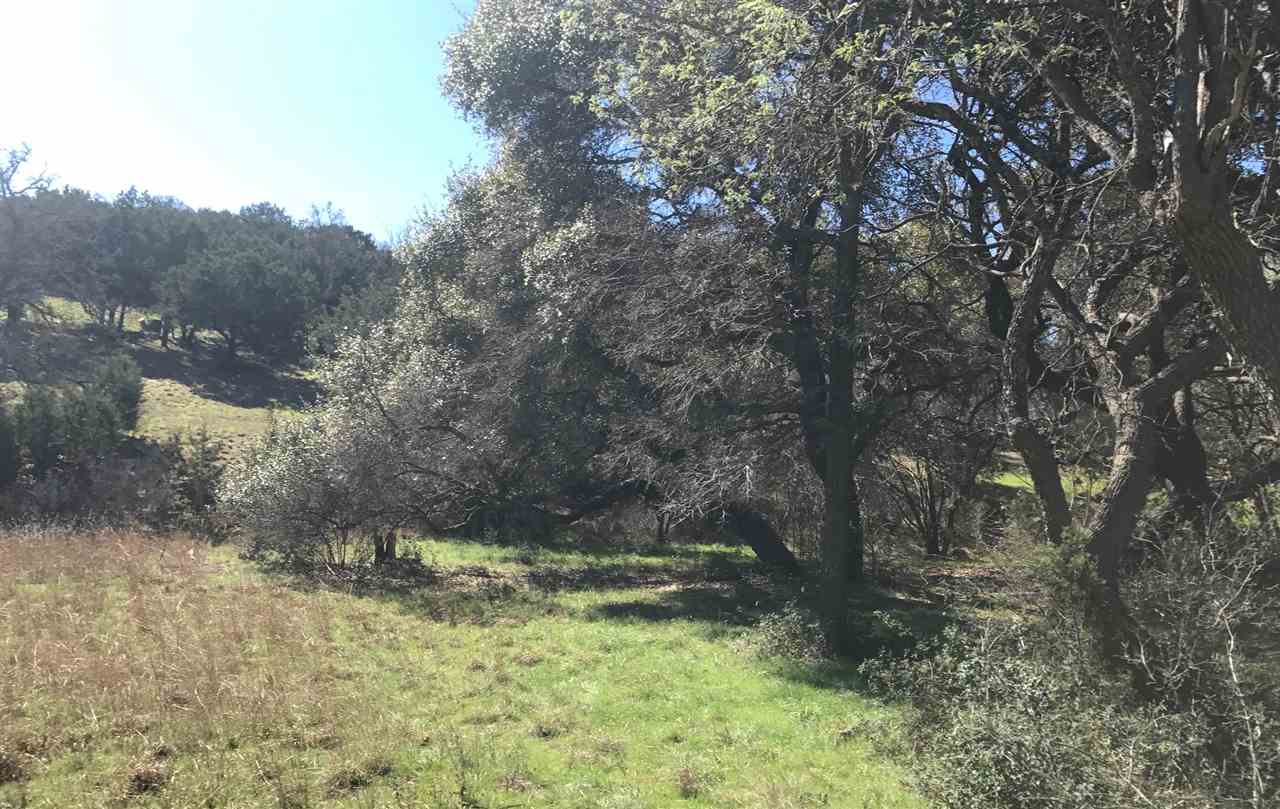 0000 Palomino, Horseshoe Bay, TX 78657