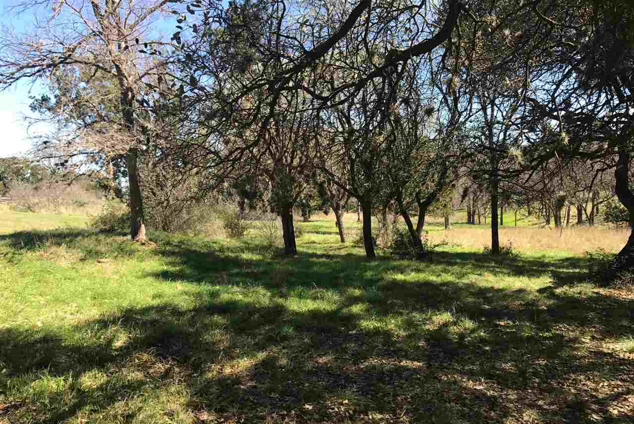 0000 Palomino, Horseshoe Bay, TX 78657
