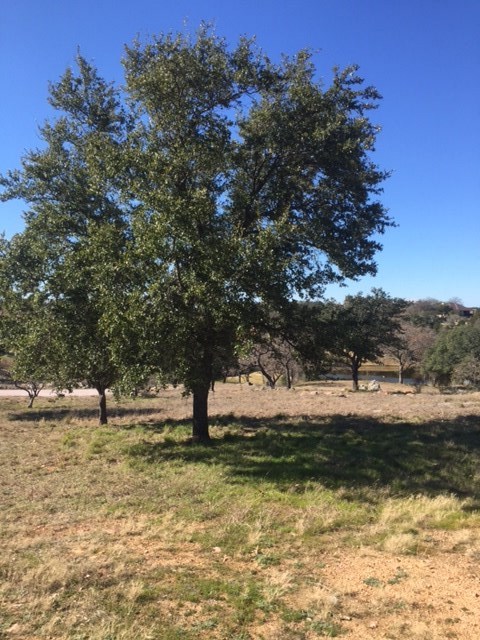 107 Commanche Agate, Horseshoe Bay, TX 78657