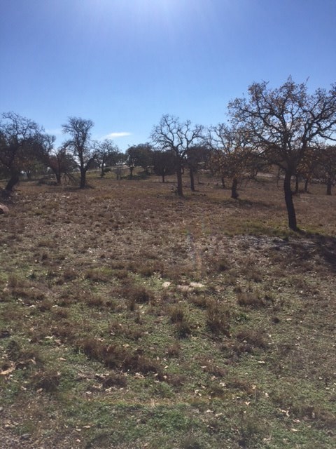107 Commanche Agate, Horseshoe Bay, TX 78657