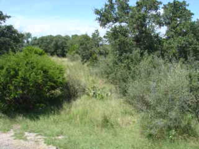 100 Horizon/Tail Wind, Horseshoe Bay, TX 78657