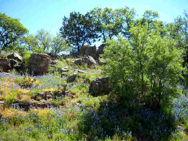 W3033 Desert Rose South, Horseshoe Bay, TX 78657