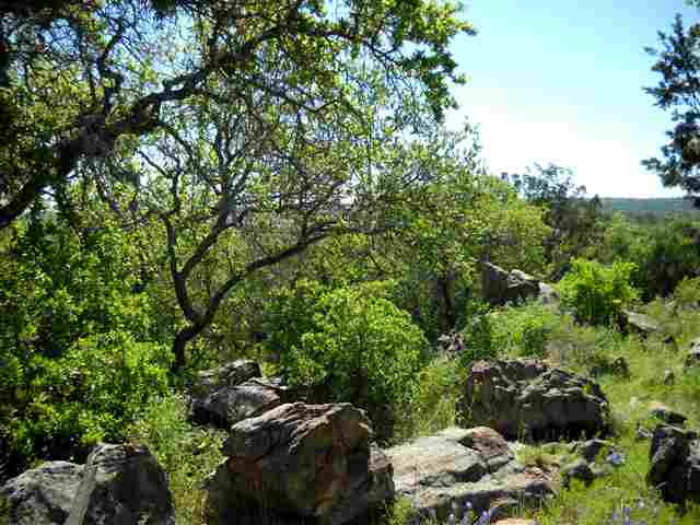 W3032 Desert Rose South, Horseshoe Bay, TX 78657