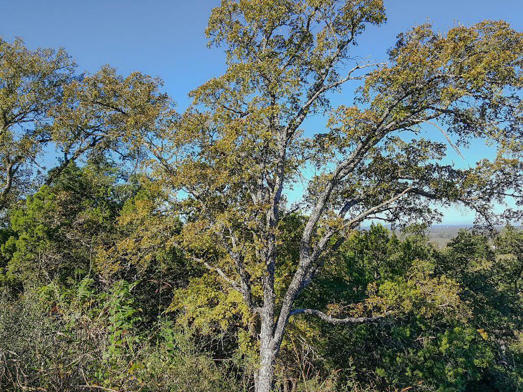 Lot 149 FM 2147, Marble Falls, TX 78657